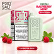 Fresh Raspberry Mint