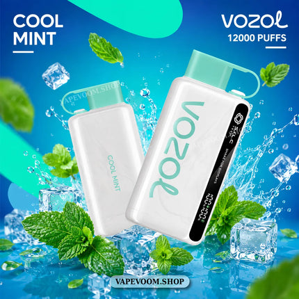 VOZOL Star 12000 Puffs Disposable Vape – Cool Mint | 50mg Nicotine Salt