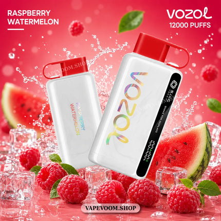 VOZOL Star 12000 Puffs Disposable Vape Raspberry Watermelon 50mg Nicotine Salt