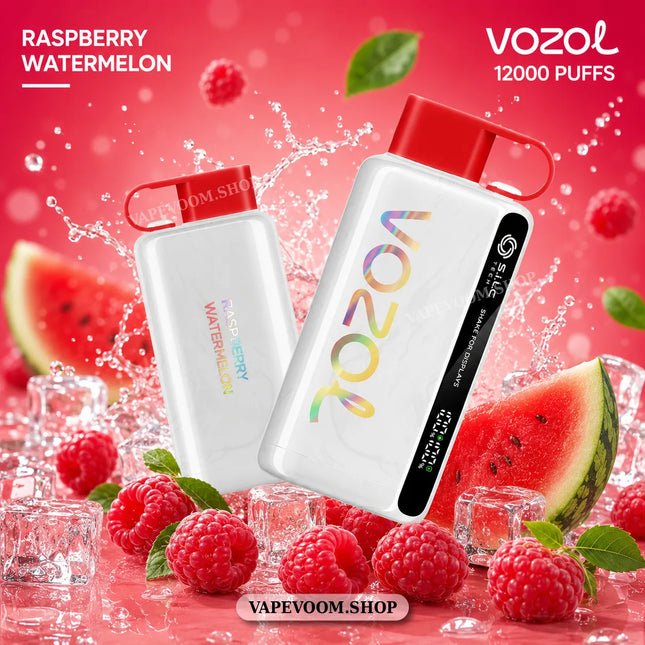 VOZOL Star 12000 Puffs Disposable Vape Raspberry Watermelon 50mg Nicotine Salt