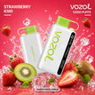 Strawberry Kiwi