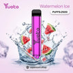 Watermelon Ice